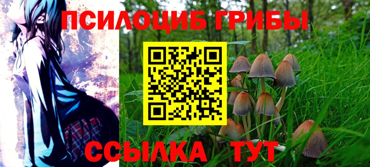 Галлюциногенные грибы Cubensis Острогожск