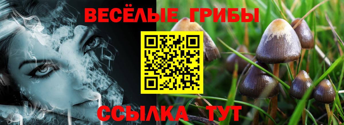 Острогожск  Псилоцибиновые грибы GOLDEN TEACHER  Вход с VPN 